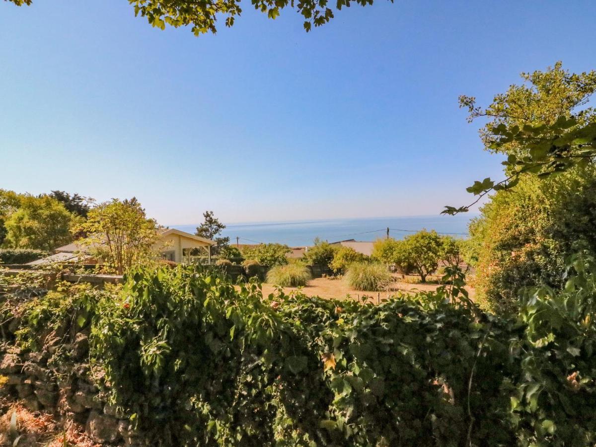 Mimosa Cottage Swyre 外观 照片