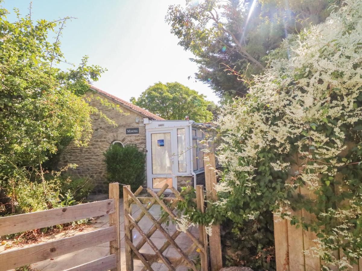 Mimosa Cottage Swyre 外观 照片